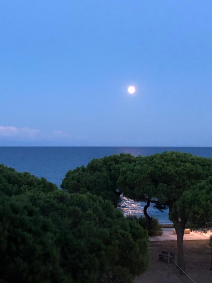 Apartment Direkt Am Strand Blanes Exterior photo